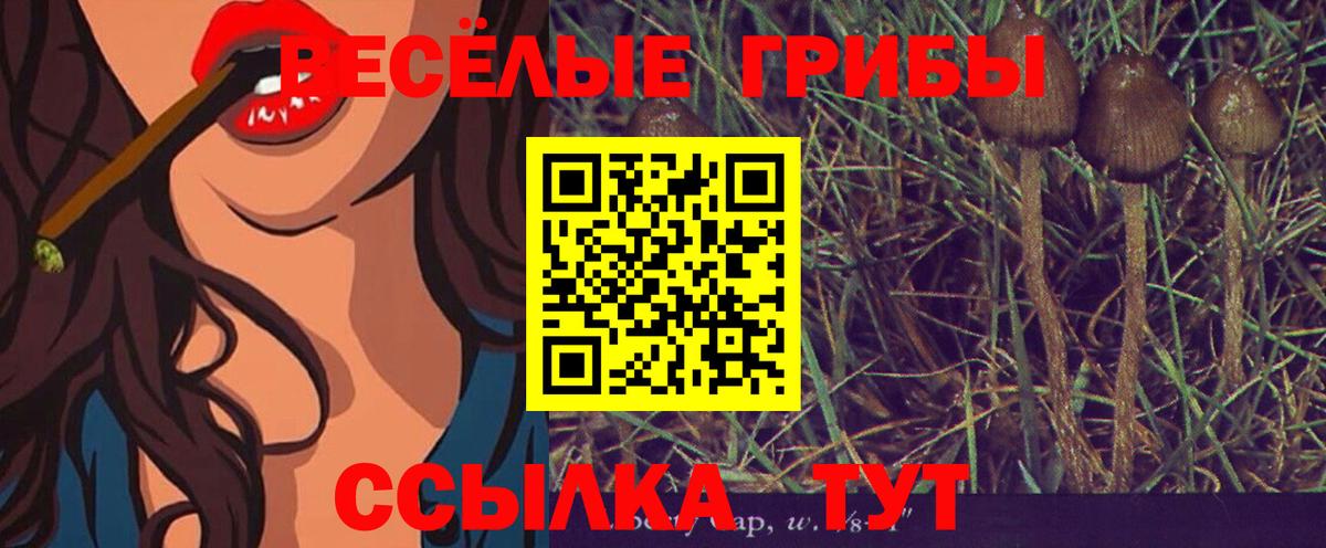 Галлюциногенные грибы Psilocybine cubensis Щёлково